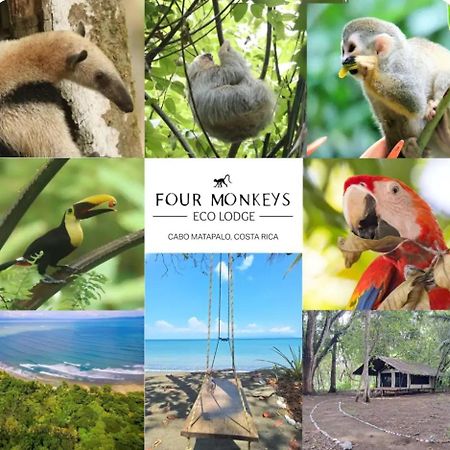Four Monkeys Eco Lodge - Jungle & Beach Cabo Matapalo Exterior foto