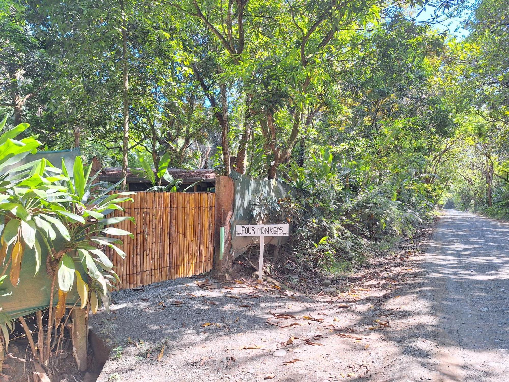 Four Monkeys Eco Lodge - Jungle & Beach Cabo Matapalo Exterior foto