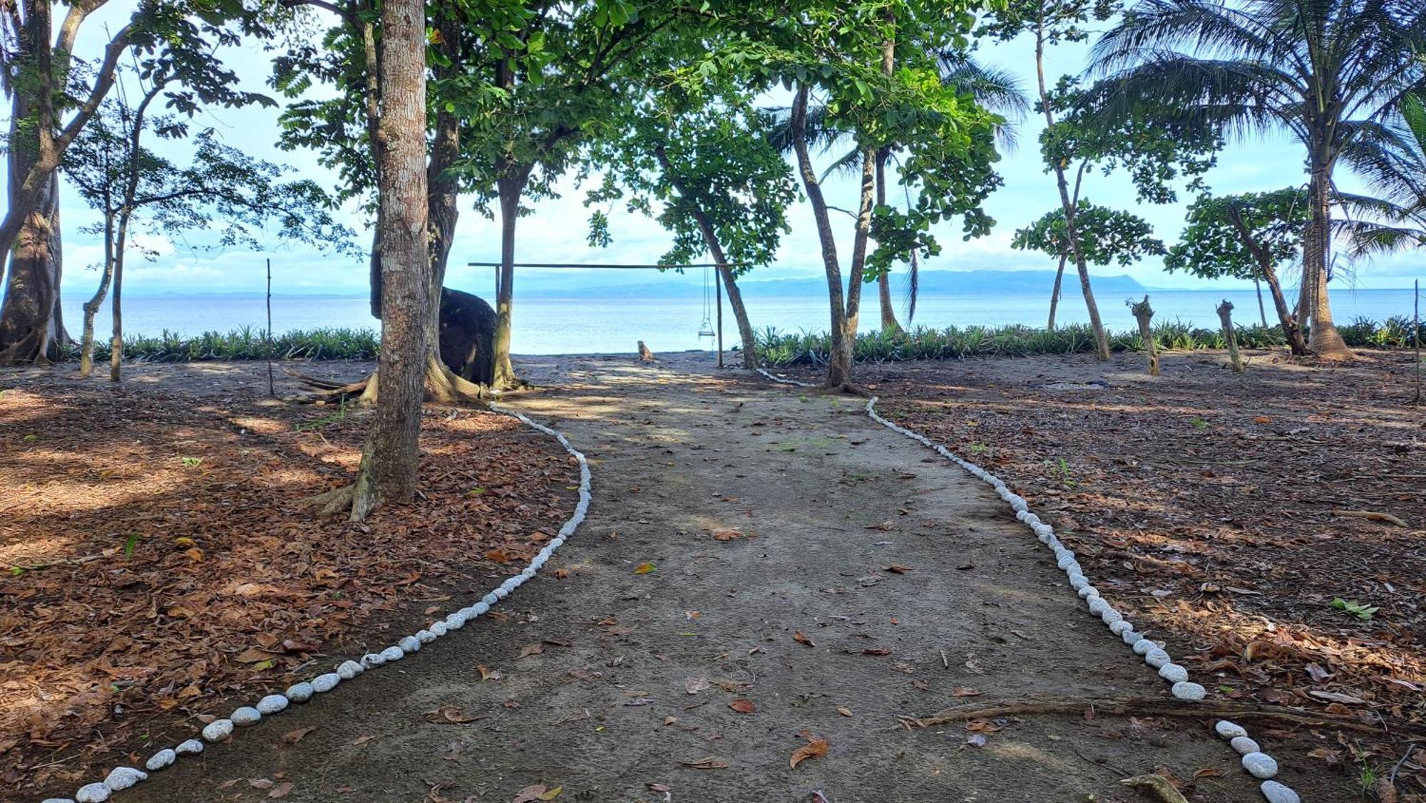 Four Monkeys Eco Lodge - Jungle & Beach Cabo Matapalo Exterior foto