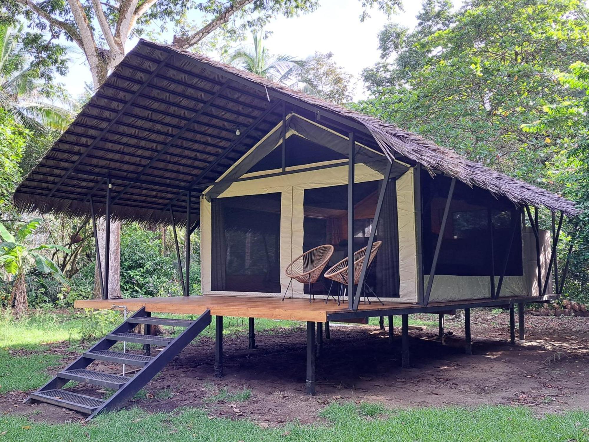 Four Monkeys Eco Lodge - Jungle & Beach Cabo Matapalo Exterior foto