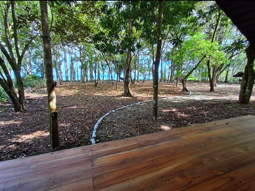 Four Monkeys Eco Lodge - Jungle & Beach Cabo Matapalo Exterior foto