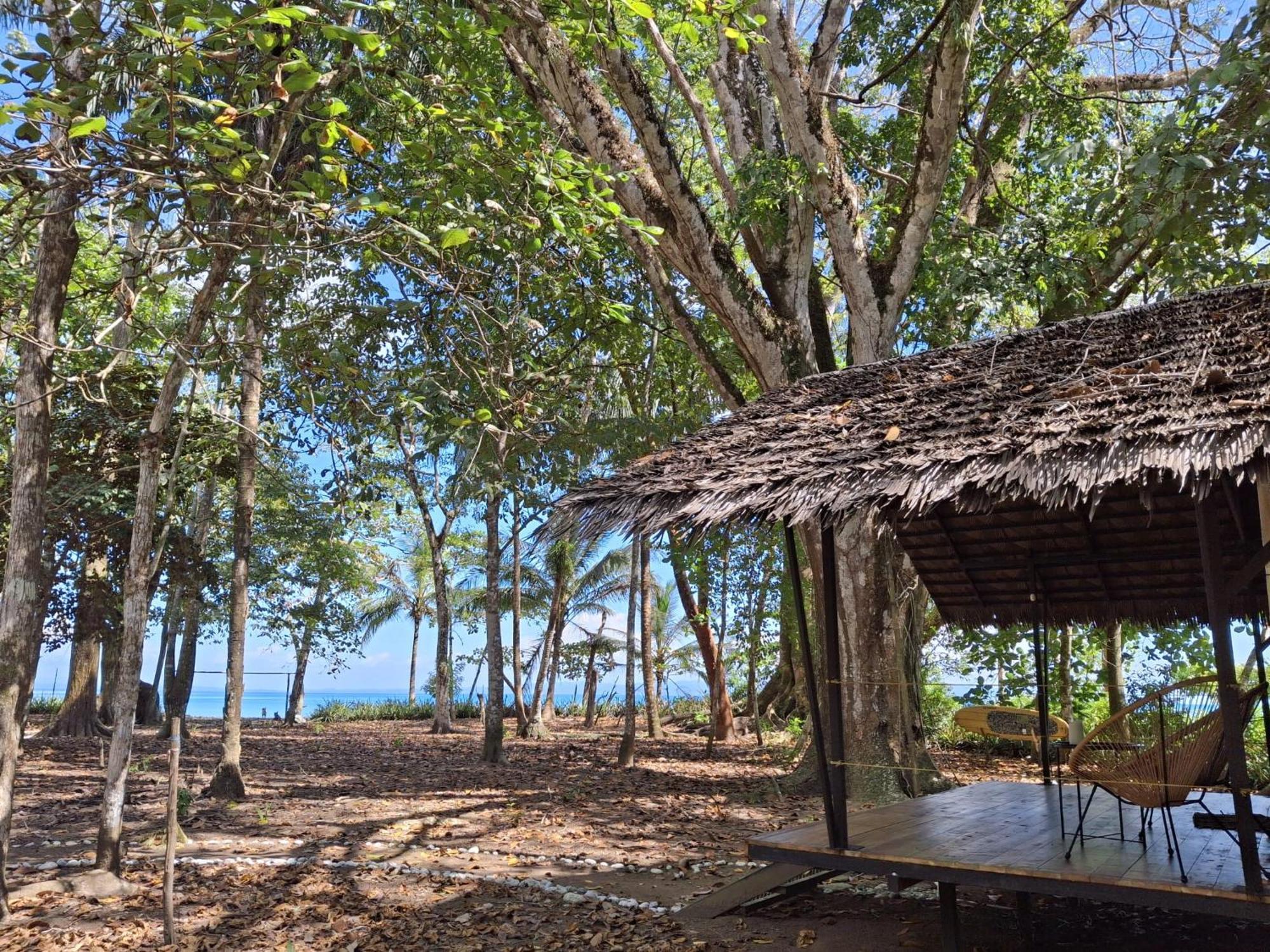 Four Monkeys Eco Lodge - Jungle & Beach Cabo Matapalo Exterior foto