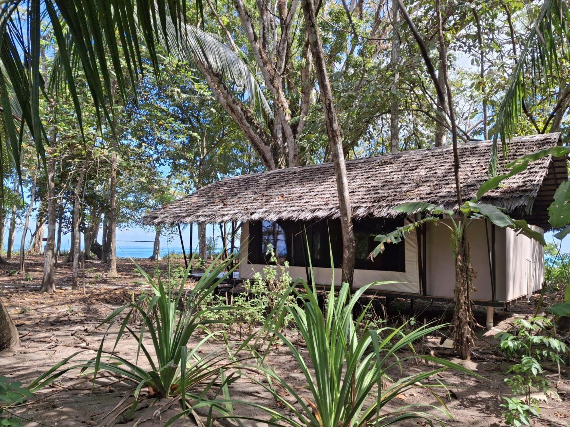 Four Monkeys Eco Lodge - Jungle & Beach Cabo Matapalo Exterior foto